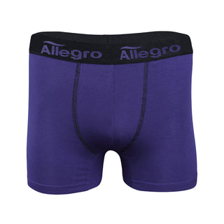 6 Pack Men's Boxer c.211 - Allegro Styles