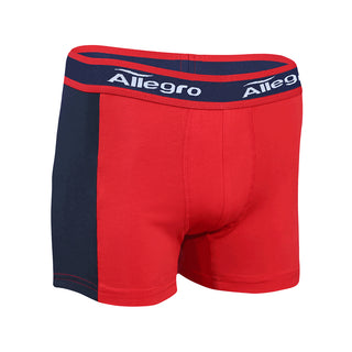 6 Pack Men's Boxer c.210 - Allegro Styles