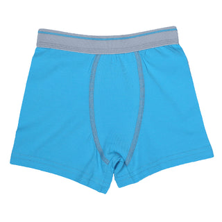Boys Boxers c.410 Blue and Gray - Allegro Styles